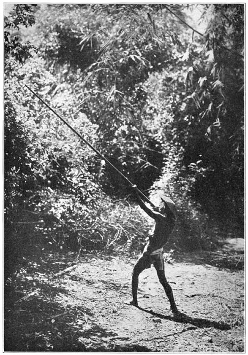 Photo of Itneg or Tinguian hunter using a blowgun