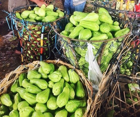 SAYOTE Sayote Vegetable Pears in Baskets