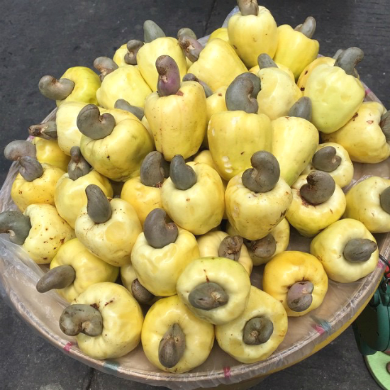 Fresh Cashew "Fruits" with "Nuts"