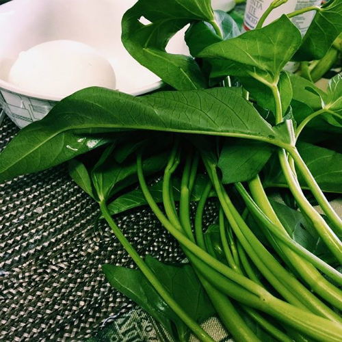Fresh Kangkong Leaves & Stems