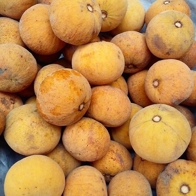 SANTOL fruit