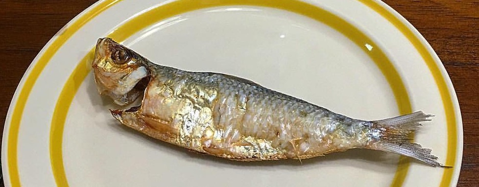 tunsoy