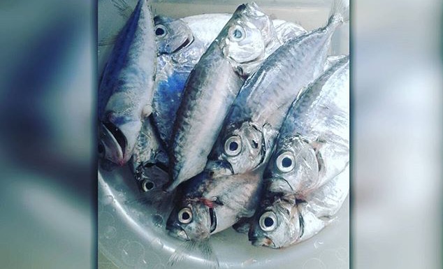 Sapsap Fish