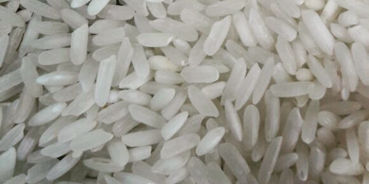 BIGAS TagalogEnglish Dictionary Online