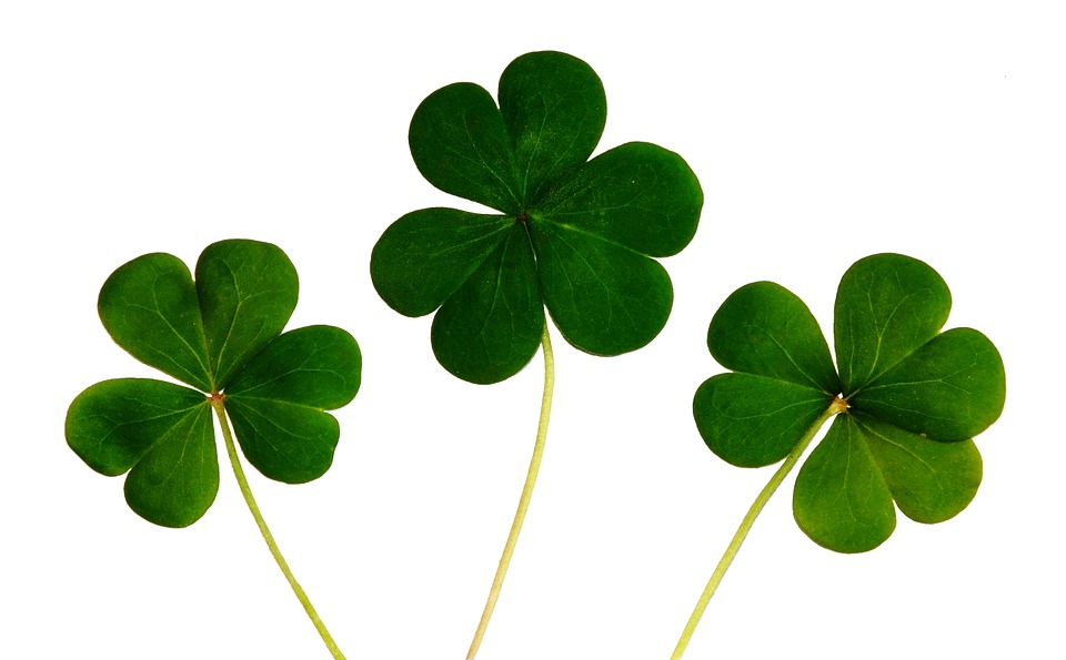 IRLANDA 🇮🇪 clovers