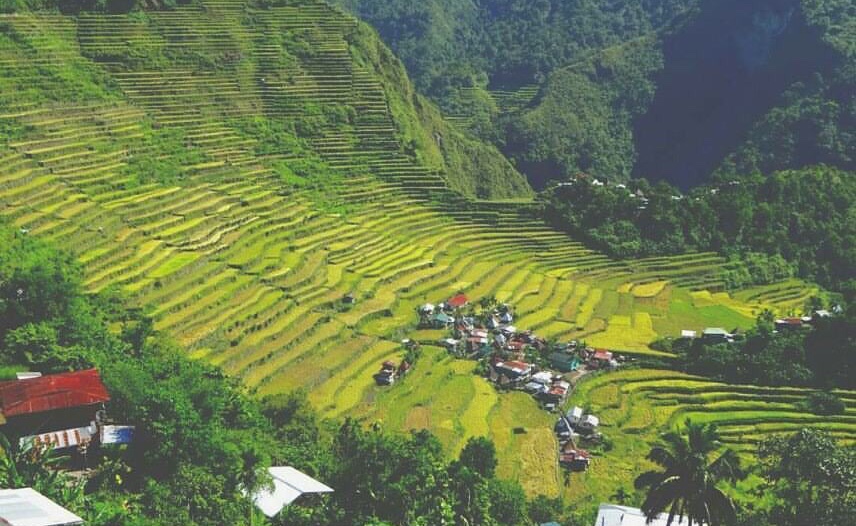 Banaue Rice Terraces