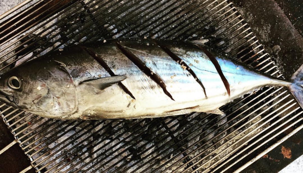 Tulingan Fish Philippines