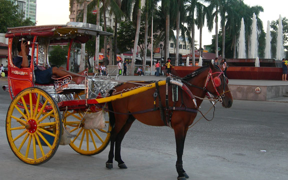 Philippine calesa