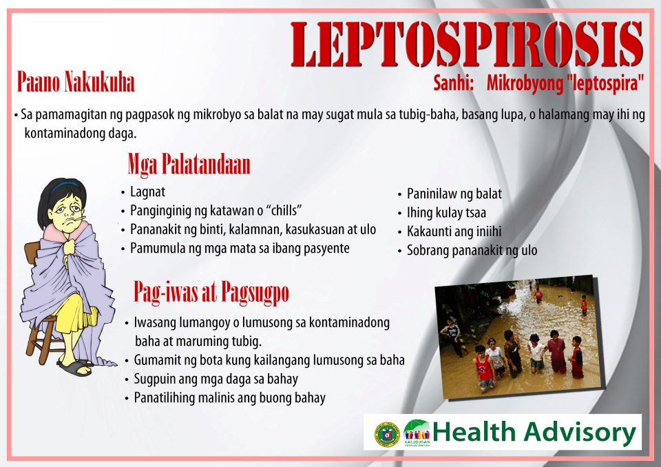 Ano ang Leptospirosis?