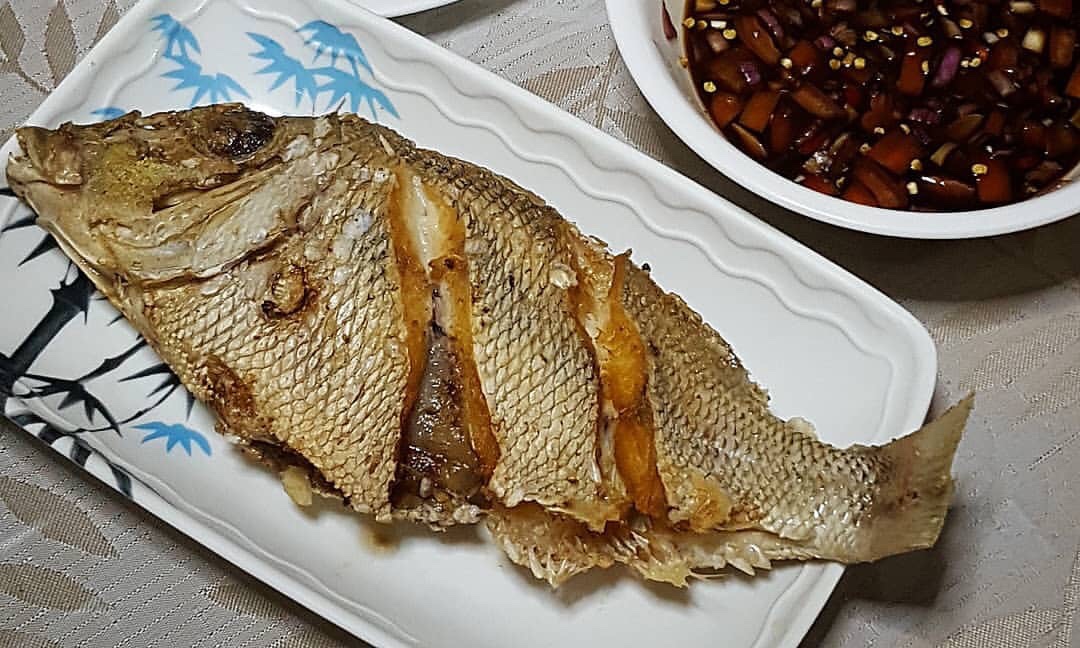 bitilya fish