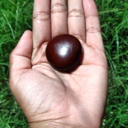 Bayugo (