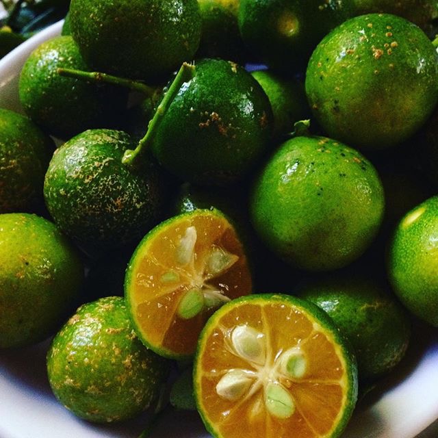 calamansi fruits