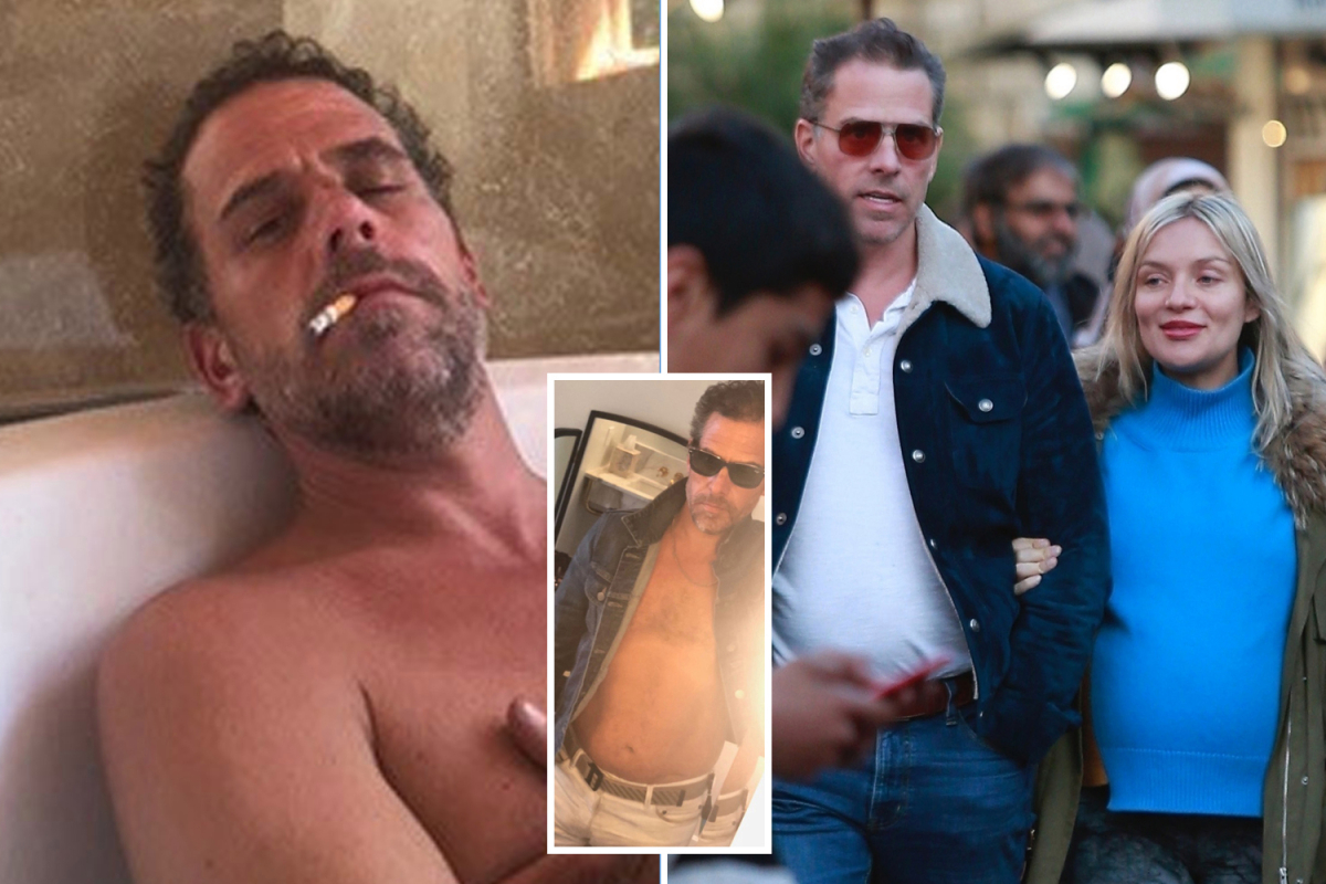 TALIPANDAS degenerate Hunter Biden