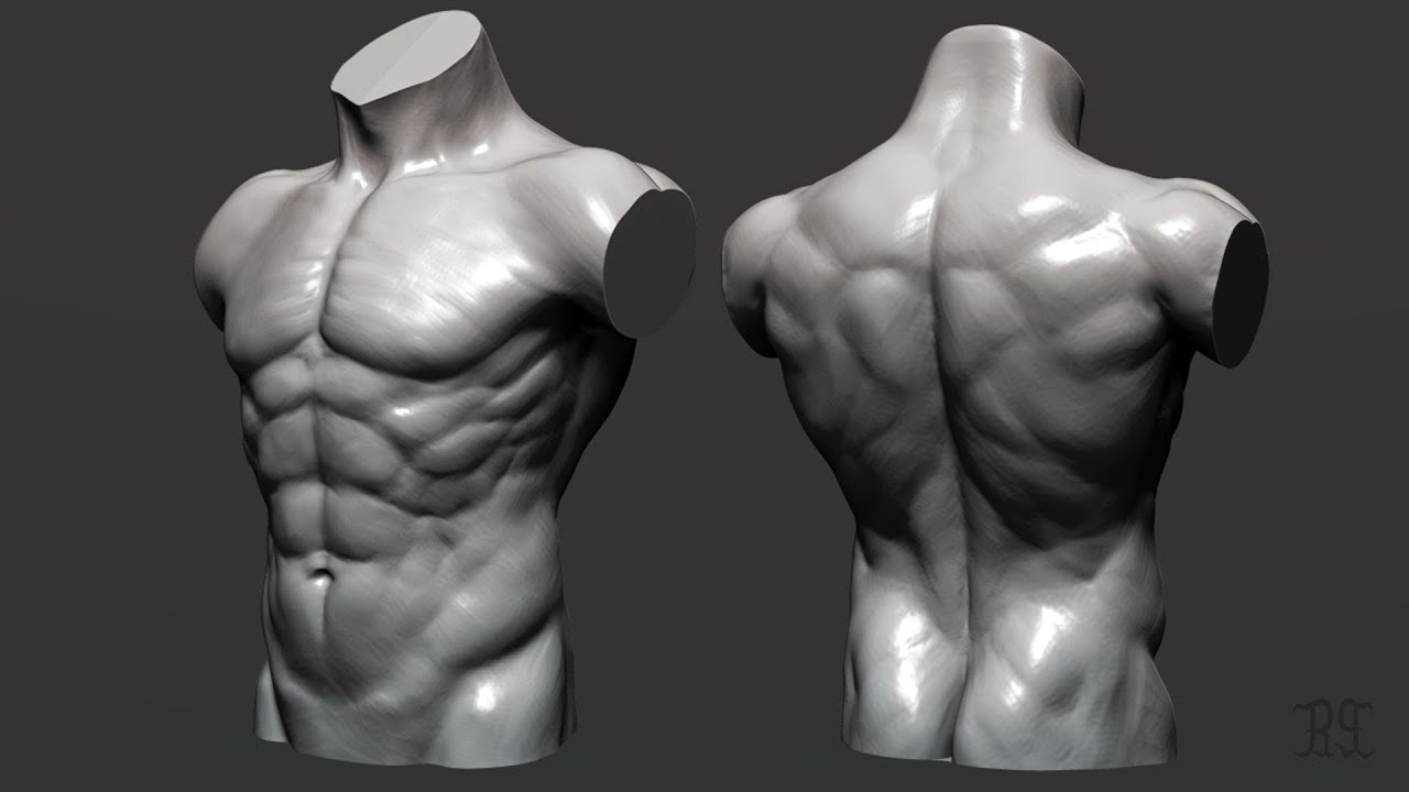 Ano ang torso?