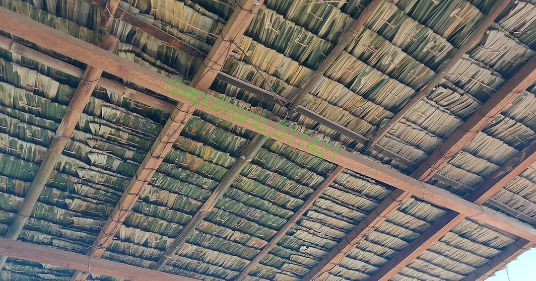 nipa roof