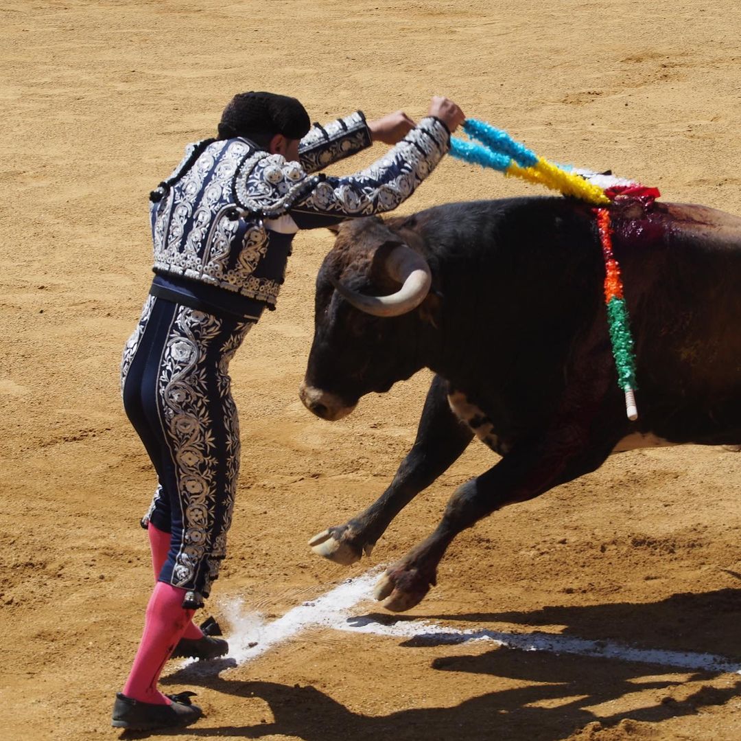 tawag sa dart na ginagamit sa bullfighting