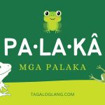 Tagalog word for frog