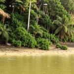 baybay-ilog