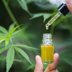 CBD oil