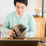Japanese man with cat in front of laptop