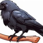 crow in the philippine story